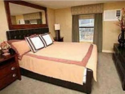 The Resort on Mount Charleston image 17